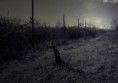 /album/fotografie/chilll-m-jpg/